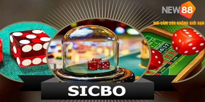 Sicbo 🎯 Mẹo Nhận Thưởng Nhanh – Bí Kíp Săn Quà Đặc Biệt 2026 4 Những chiến thuật chơi nhanh chóng giành thắng lớn